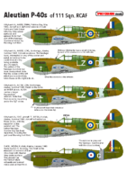 Aleutian P-40 Decal Instructions